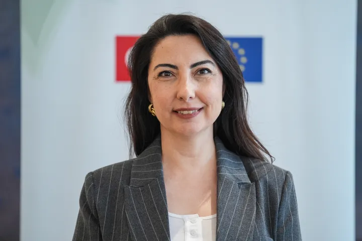 Türkiye at forefront of regional climate action: UNDP official