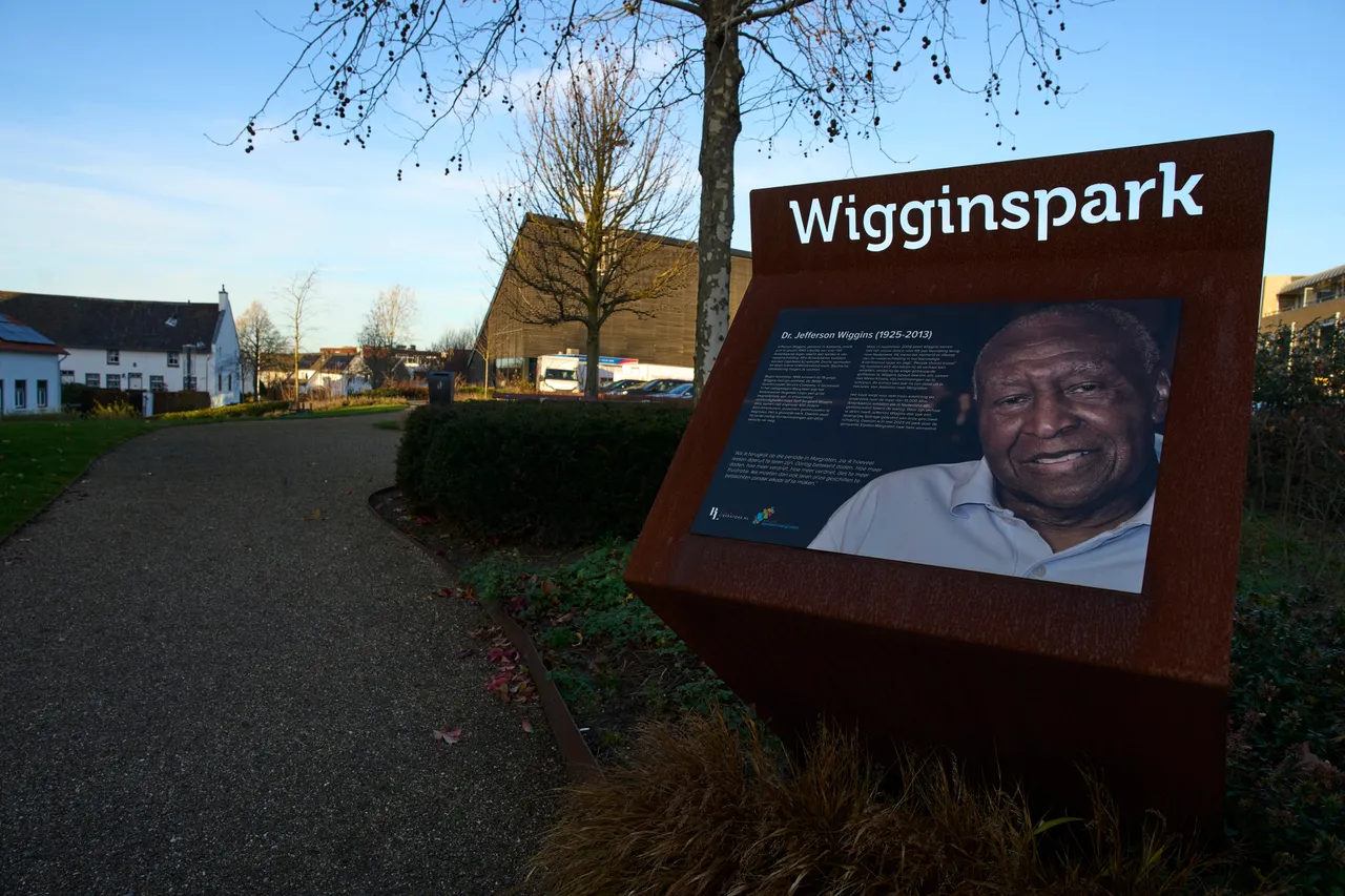 Backlash over US removal of Black soldiers' panels at WWII cemetery in the Netherlands