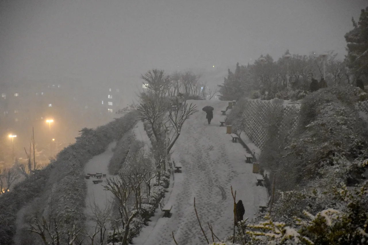 هلال‌احمر ایران: سیل و کولاک در ۲۵ استان، ۹ فوتی، ۲ مفقودی و ۱۵ مصدوم