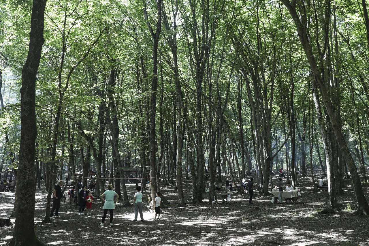 بازدید حدود ۴ میلیون نفر از مناطق حفاظت‌شده استانبول در سال ۲۰۲۵