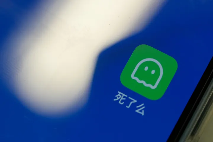 China's 'Are You Dead?' app goes viral as young people seek a one-tap proof of life
