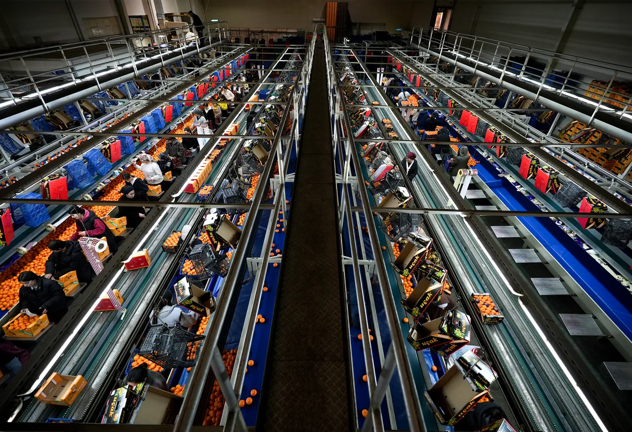 Deutschland weiterhin wichtigster Exportmarkt für türkische Wirtschaft