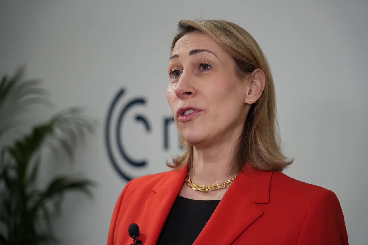 AfD-Abgeordnete: Habe Mitarbeiter Rubios getroffen