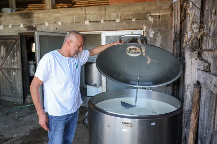 Proizvođači mlijeka u Srbiji upozoravaju: Državne mjere devalvirale, ugrožen opstanak farmi