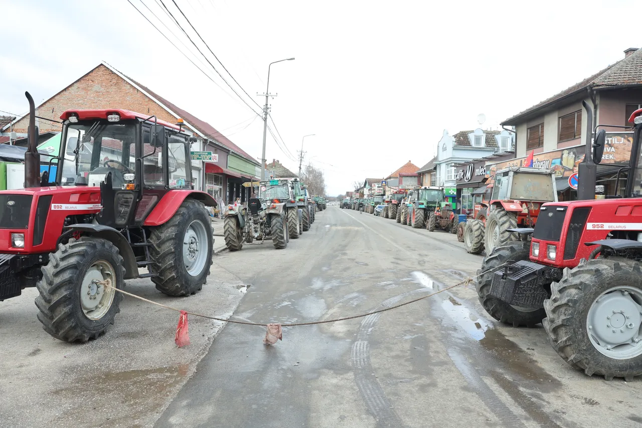 Mlekari nezadovoljni otkupnom cenom blokirali magistralni put u centralnoj Srbiji