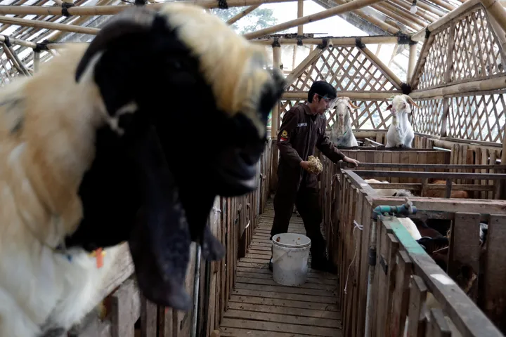 Indonesia dan Denmark perkuat sistem keamanan pakan nasional