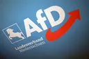 Niedersachsen-AfD im Bundestag will Abgeordnete loswerden