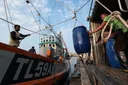 Gas price surge threatens to halt Thailand's fishing industry amid Israel-US war on Iran