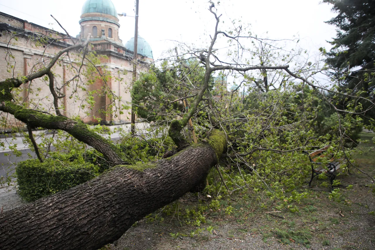 Zagreb sanira posljedice olujnog nevremena - šteta se tek zbraja