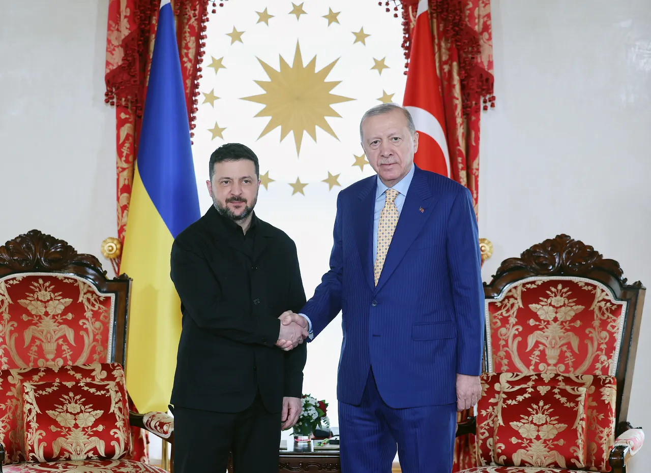 Erdogan hosts Zelenskyy, urges talks to end Russia-Ukraine war