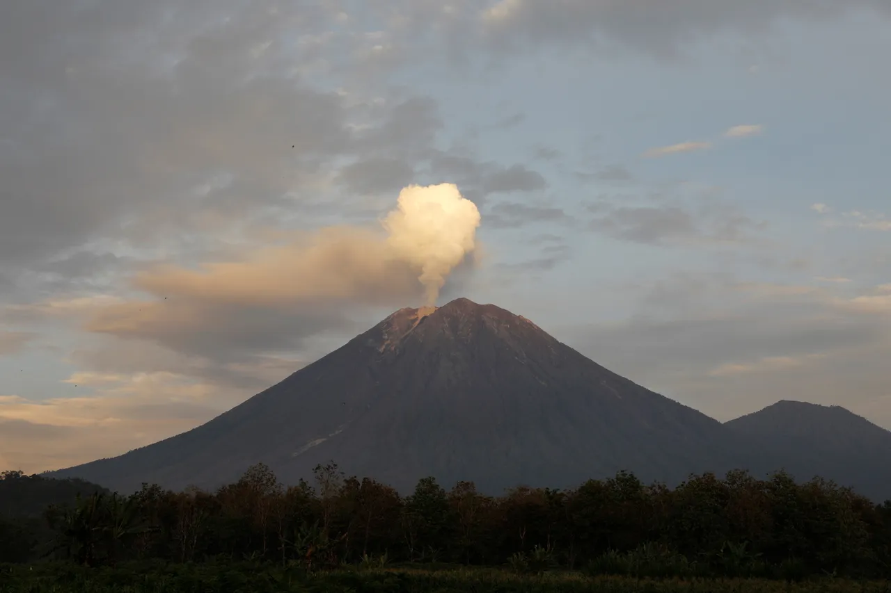Gunung Semeru erupsi tujuh kali, kolom abu capai 1.100 meter
