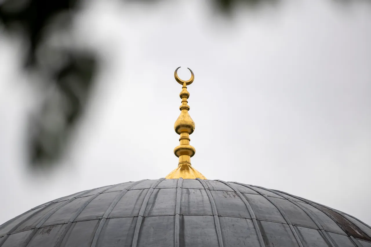 Experte: Islamfeindlichkeit der AfD in Sachsen-Anhalt entgegentreten