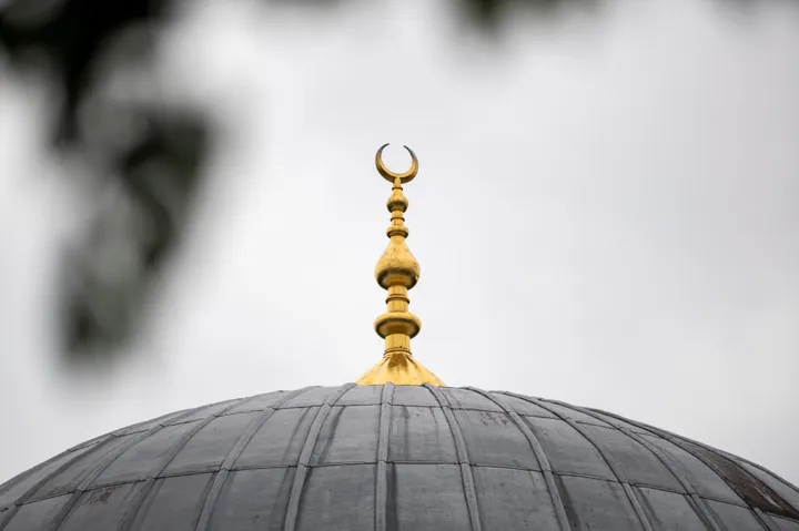 Experte: Islamfeindlichkeit der AfD in Sachsen-Anhalt entgegentreten