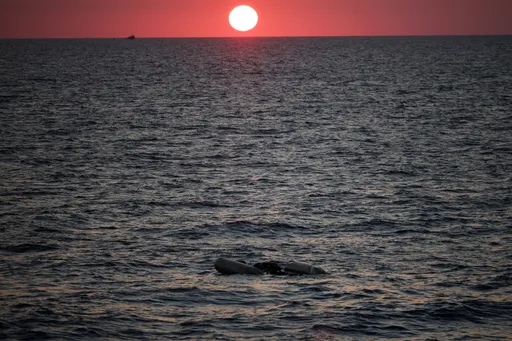 Libya: Wahamiaji 17 wamekufa maji, wengine 9 hawajulikani walipo