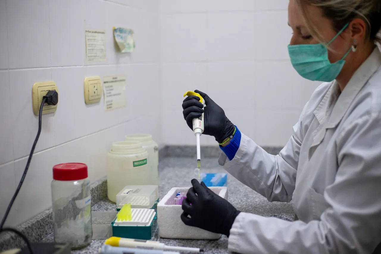 Hantavirus: huit cas confirmés du virus des Andes (OMS)