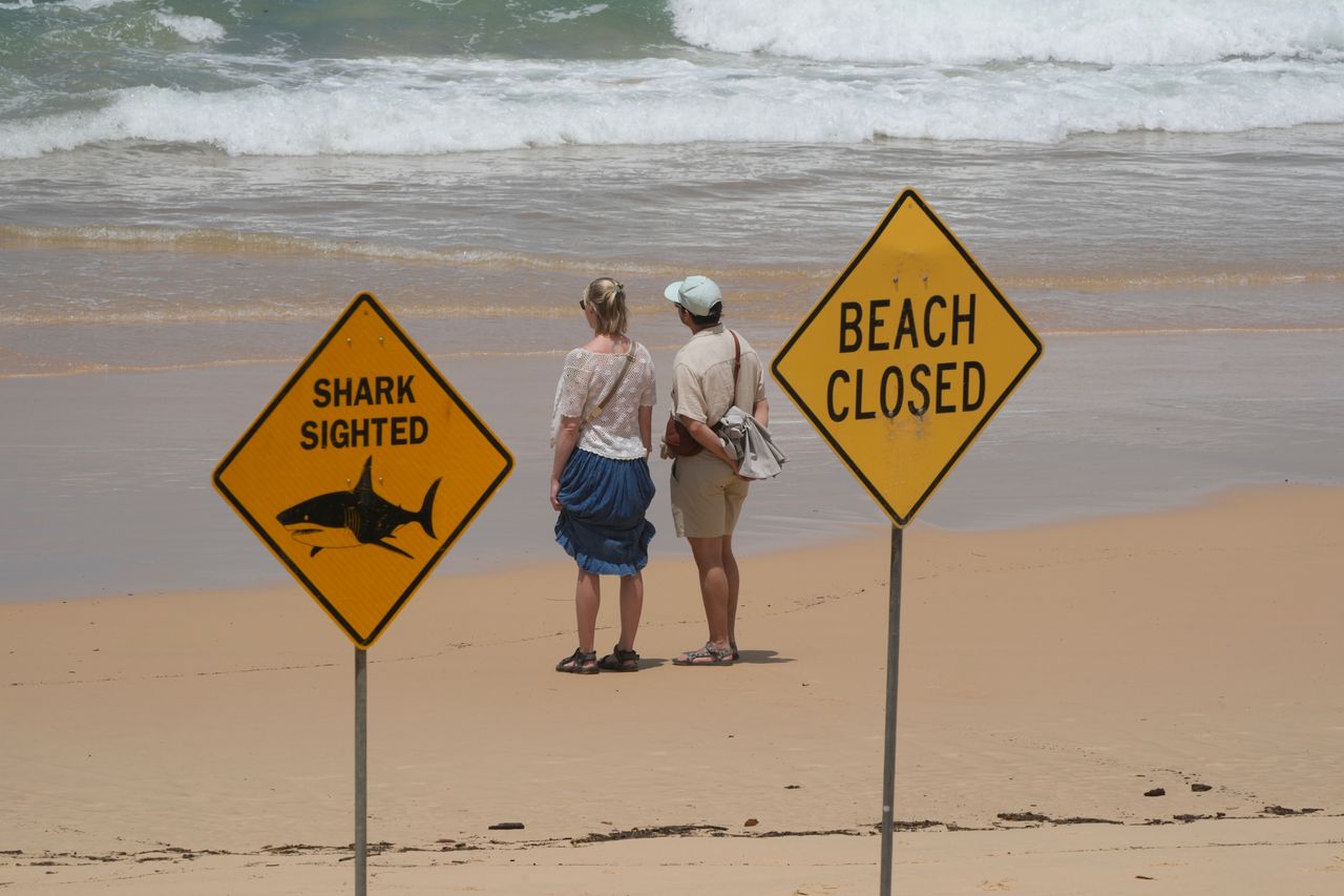 Great white shark kills man off western Australia