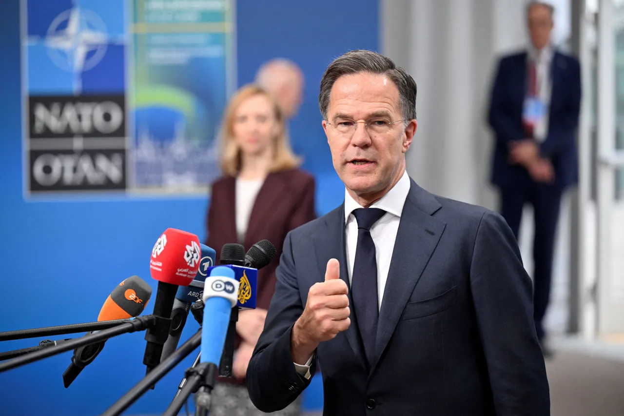 NATO's Rutte says alliance on stronger path, less reliant on single ally