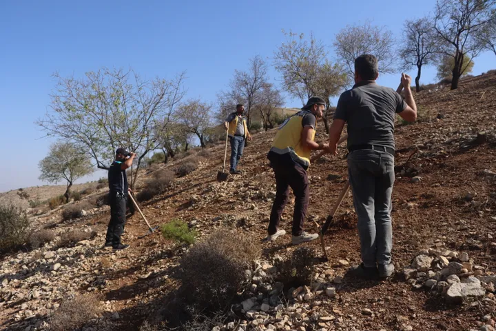 ‘Protecting the land and rebuilding’: How Syrians are restoring their forests