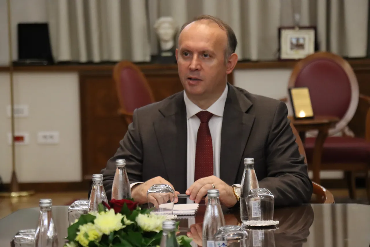 Nënkryetari i AK Partisë, Zorlu: Türkiye është bërë një vend i kërkuar dhe i besuar