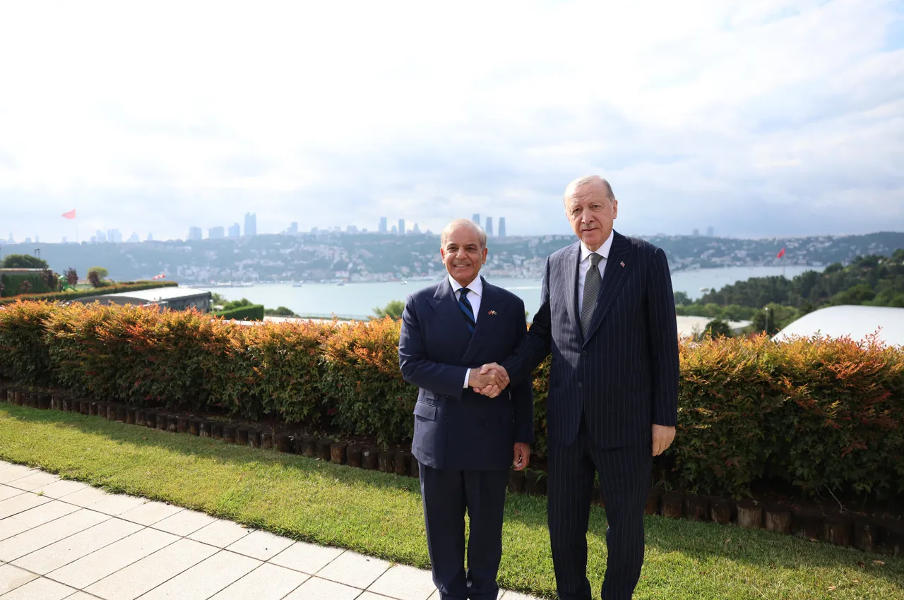 'Türkiye’s success is Pakistan’s success': Pakistani PM Sharif
