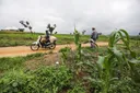 Yadda matsalar tsaron Nijeriya ke ƙara barazana ga wadatar abinci