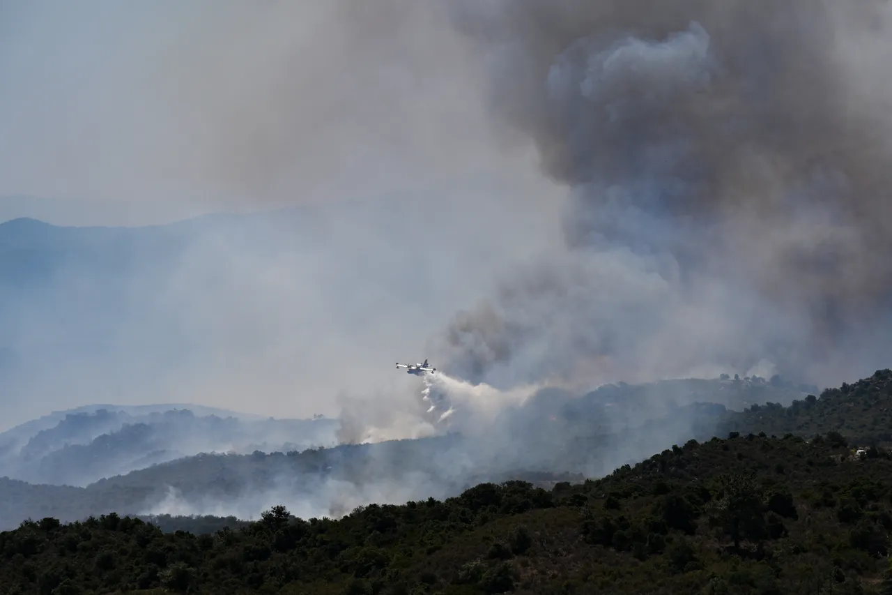 Firefighters battle fast-moving wildfires in southern France