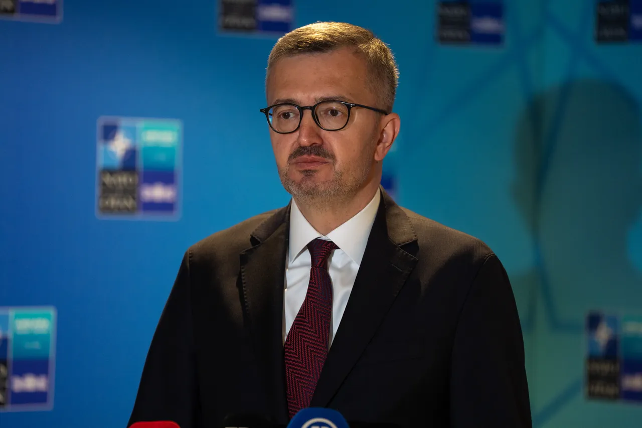 Бурханетин Дуран: Самитот на НАТО во Анкара ќе ја обликува иднината на Алијансата