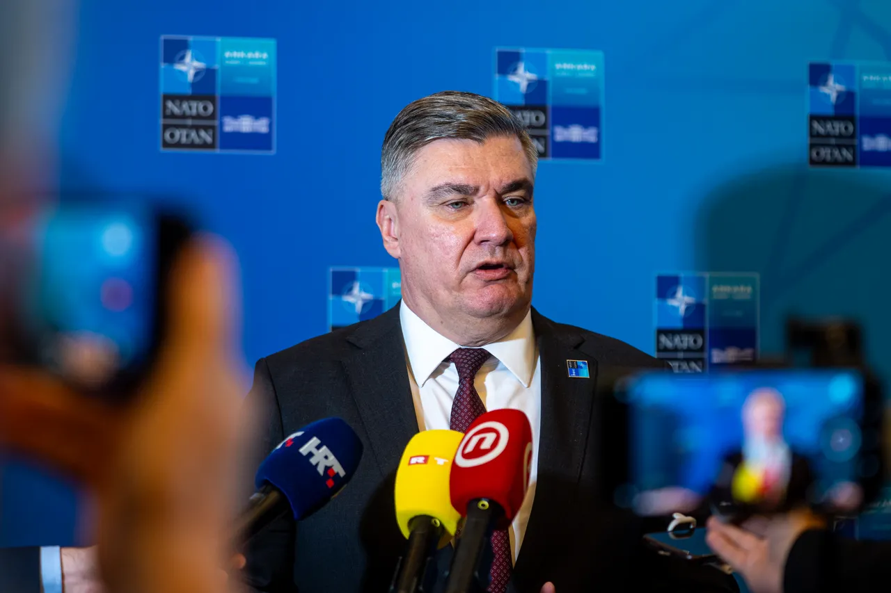 Milanović iz Ankare: Hrvatska mora biti lojalna NATO-u, ali štititi vlastite interese
