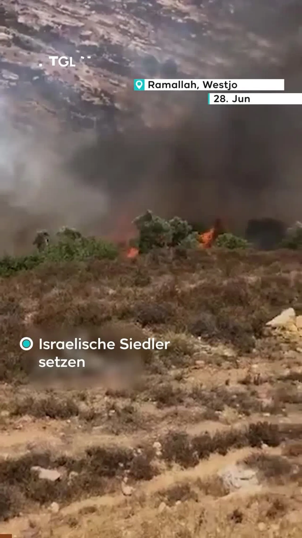 Siedler setzten
palästinensisches
Land in Brand