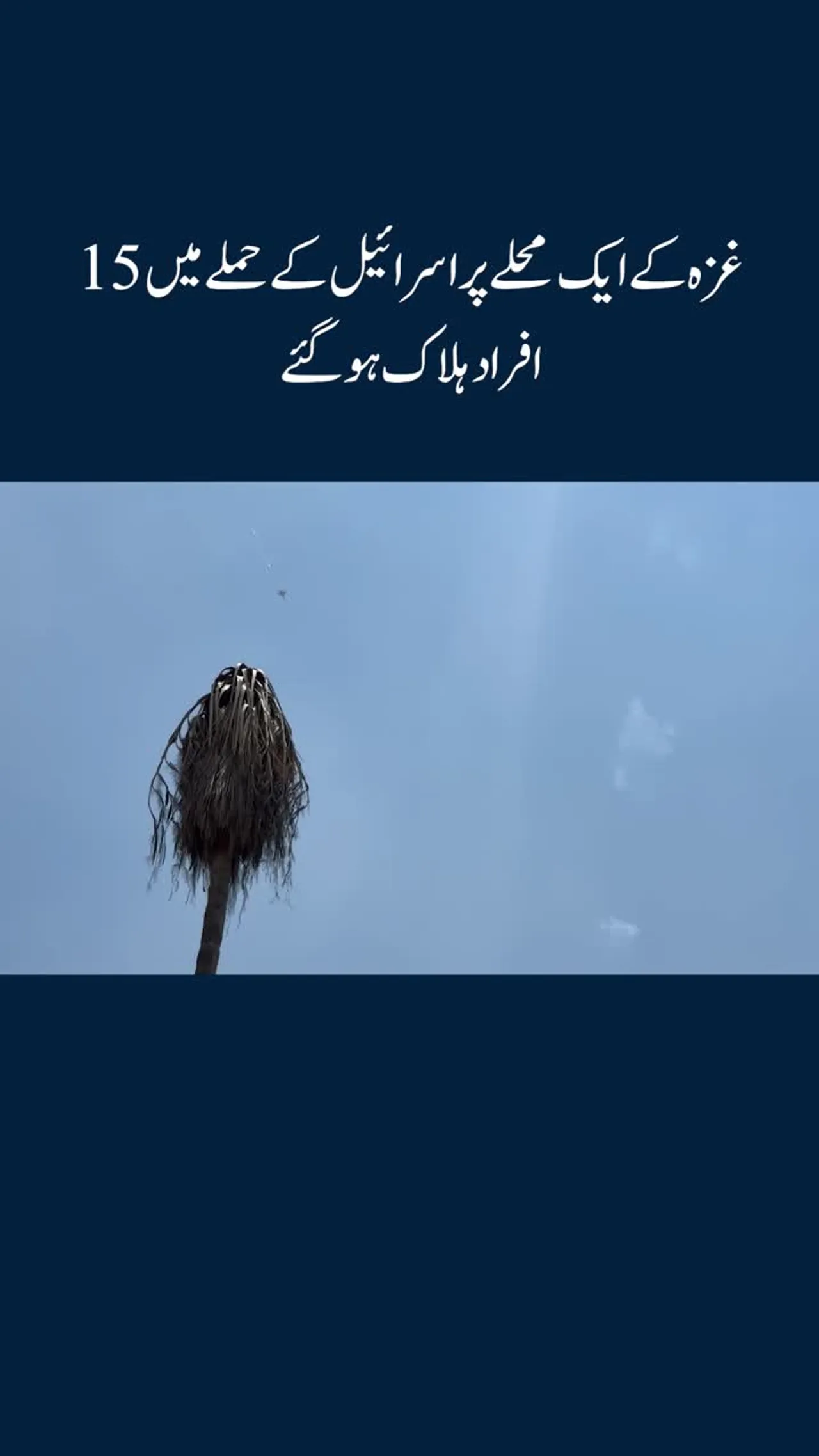غزہ کے ایک محلے پر اسرائیل کے حملے میں 15 افراد ہلاک ہو گئے