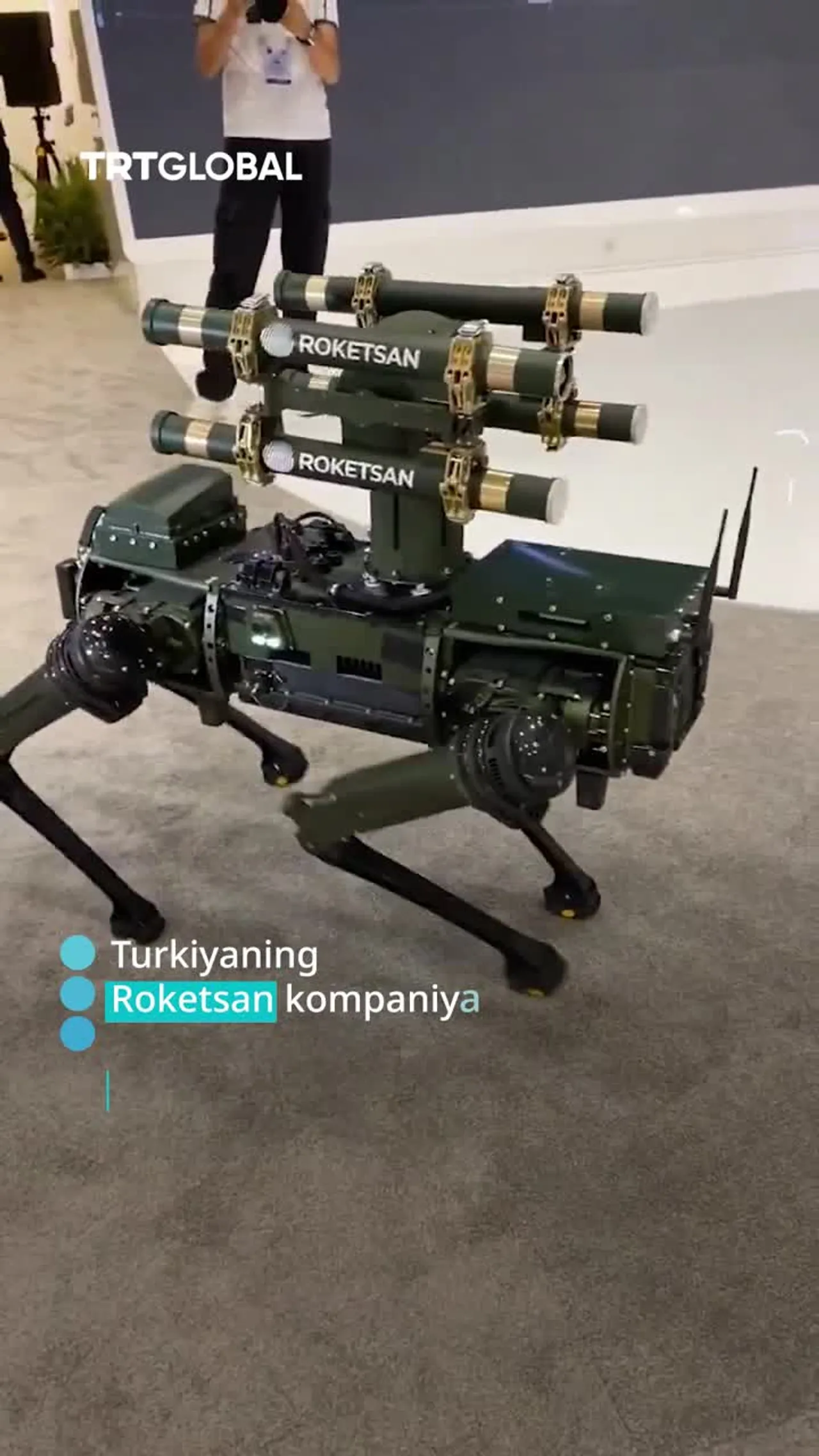 Turkiyada robot-it namoyish etildi