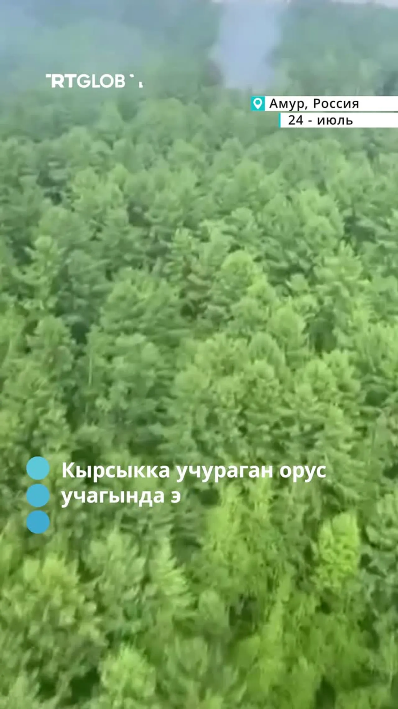 Кырсыкка учураган орус учагында эч ким аман калган жок