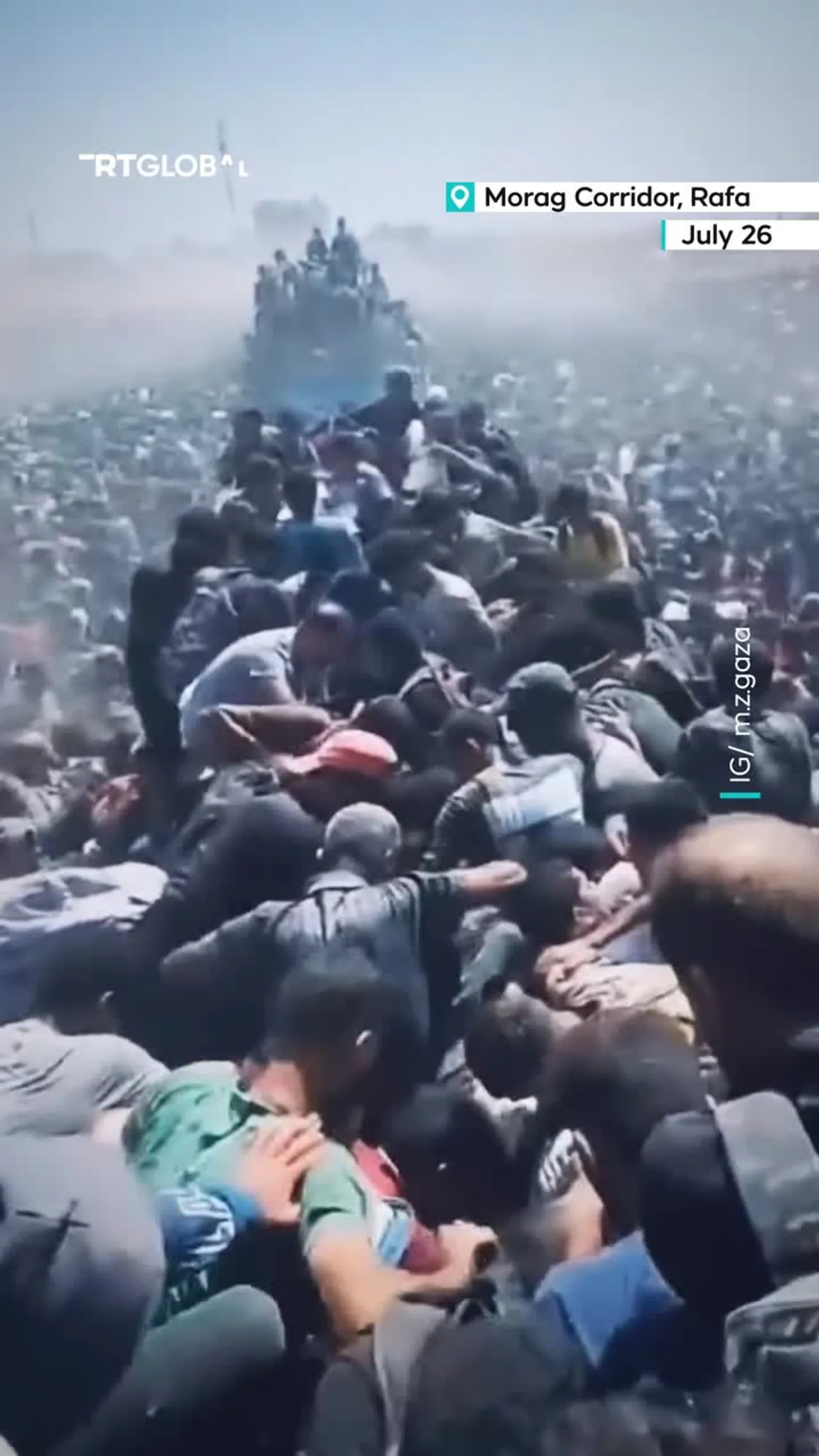 Palestinians gathers around aid trucks in Rafah