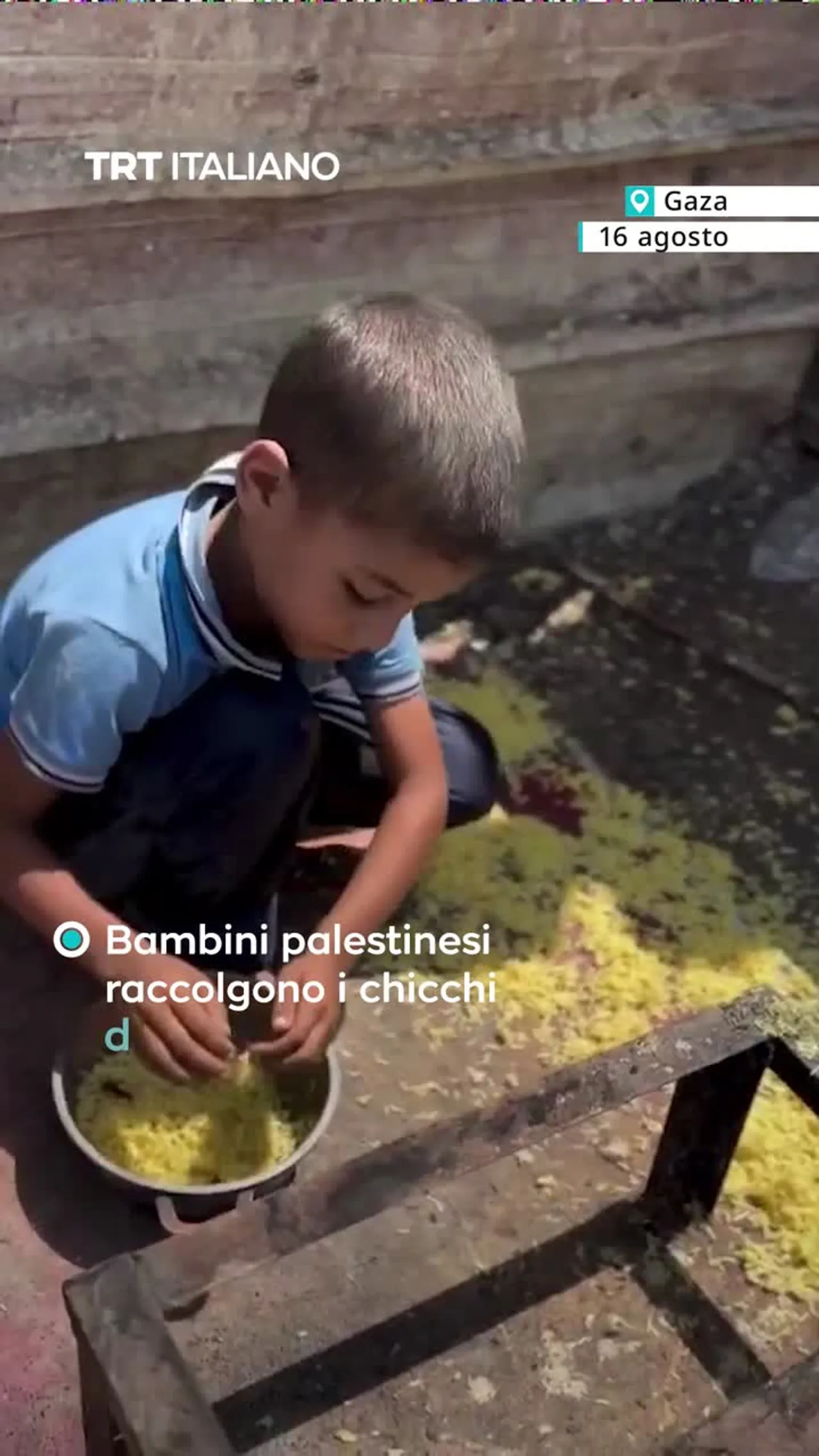 Israele è accusato di usare la fame come “arma di guerra”
