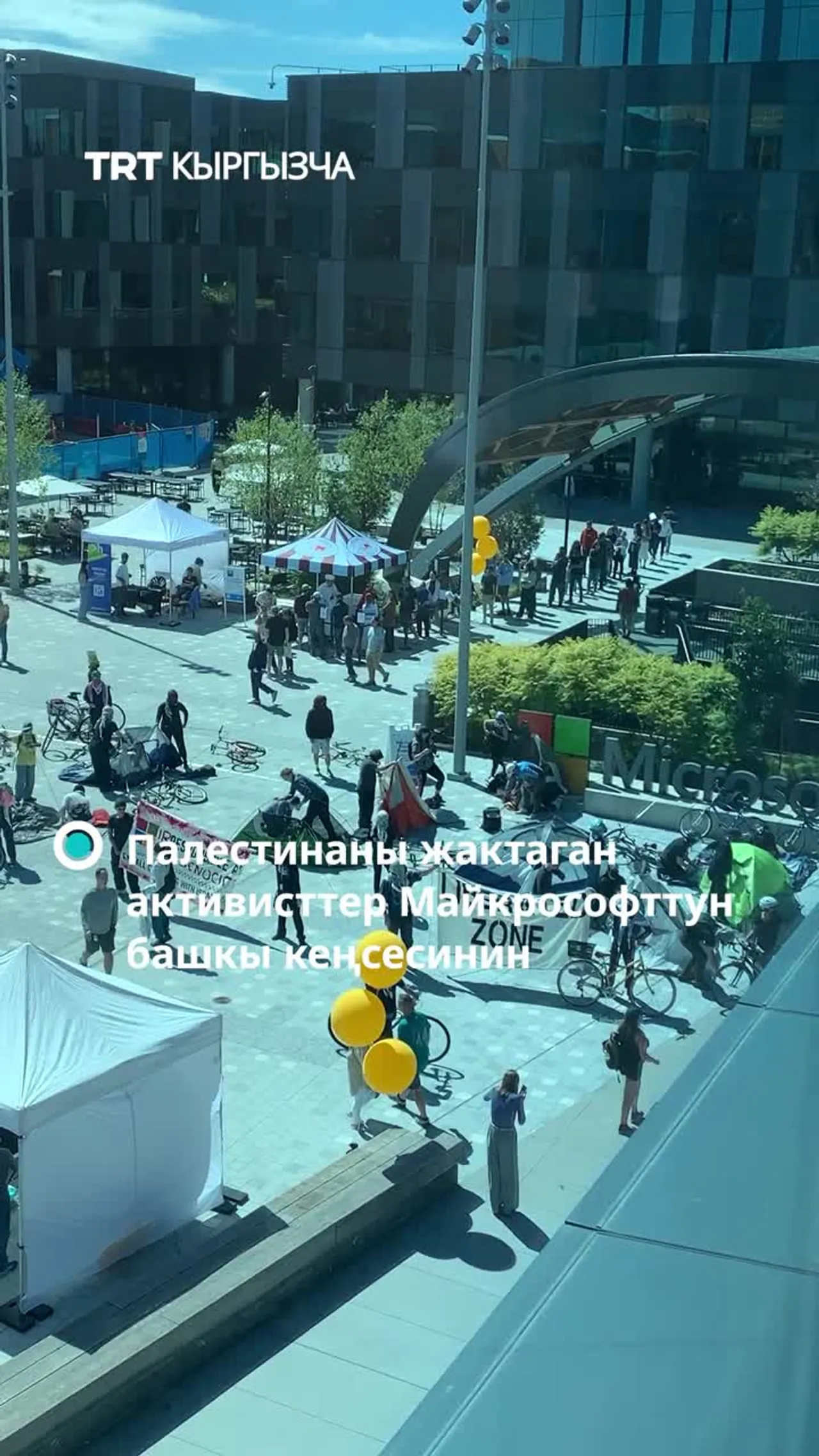 Активисттер Майкрософттун башкы кеңсесинин алдына чогулушту