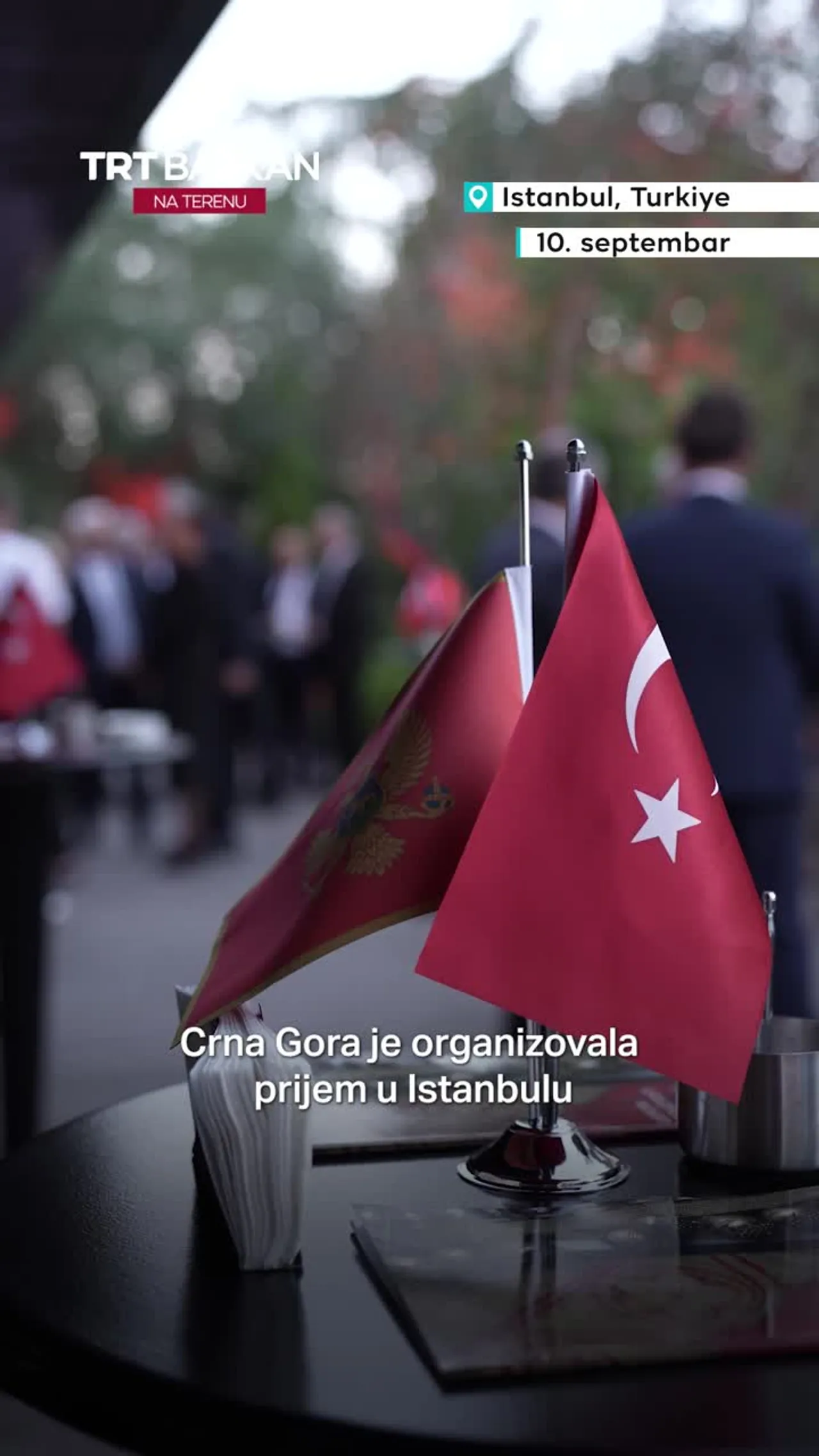 Prijem u Istanbulu povodom Dana državnosti Crne Gore