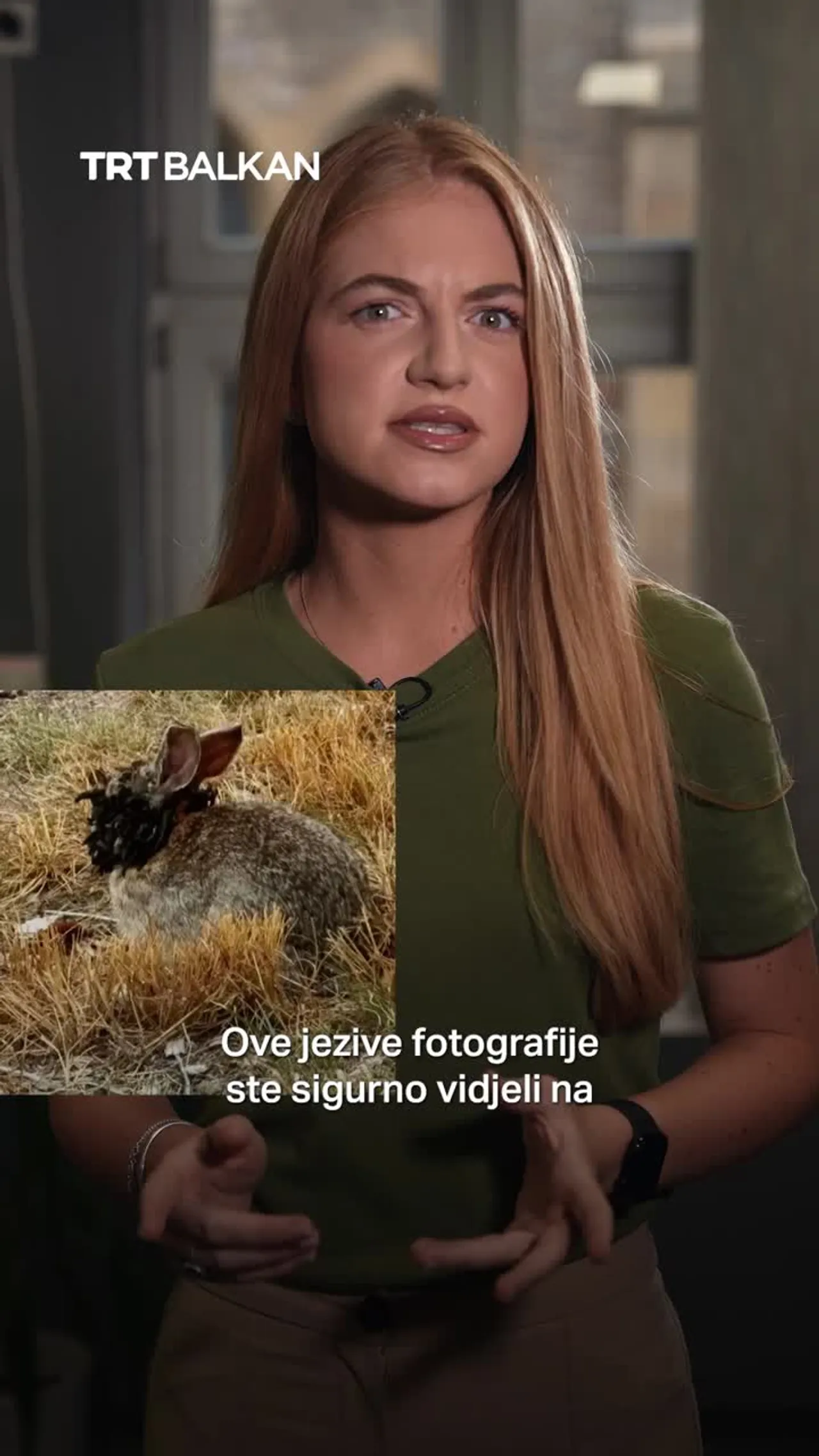 Šta su Frankenstein zečevi?