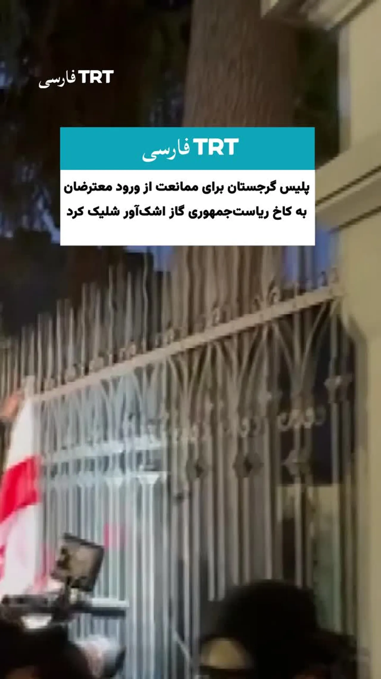 پلیس گرجستان برای ممانعت از ورود معترضان به کاخ ریاستجمهوری گاز اشکآور شلیک کرد