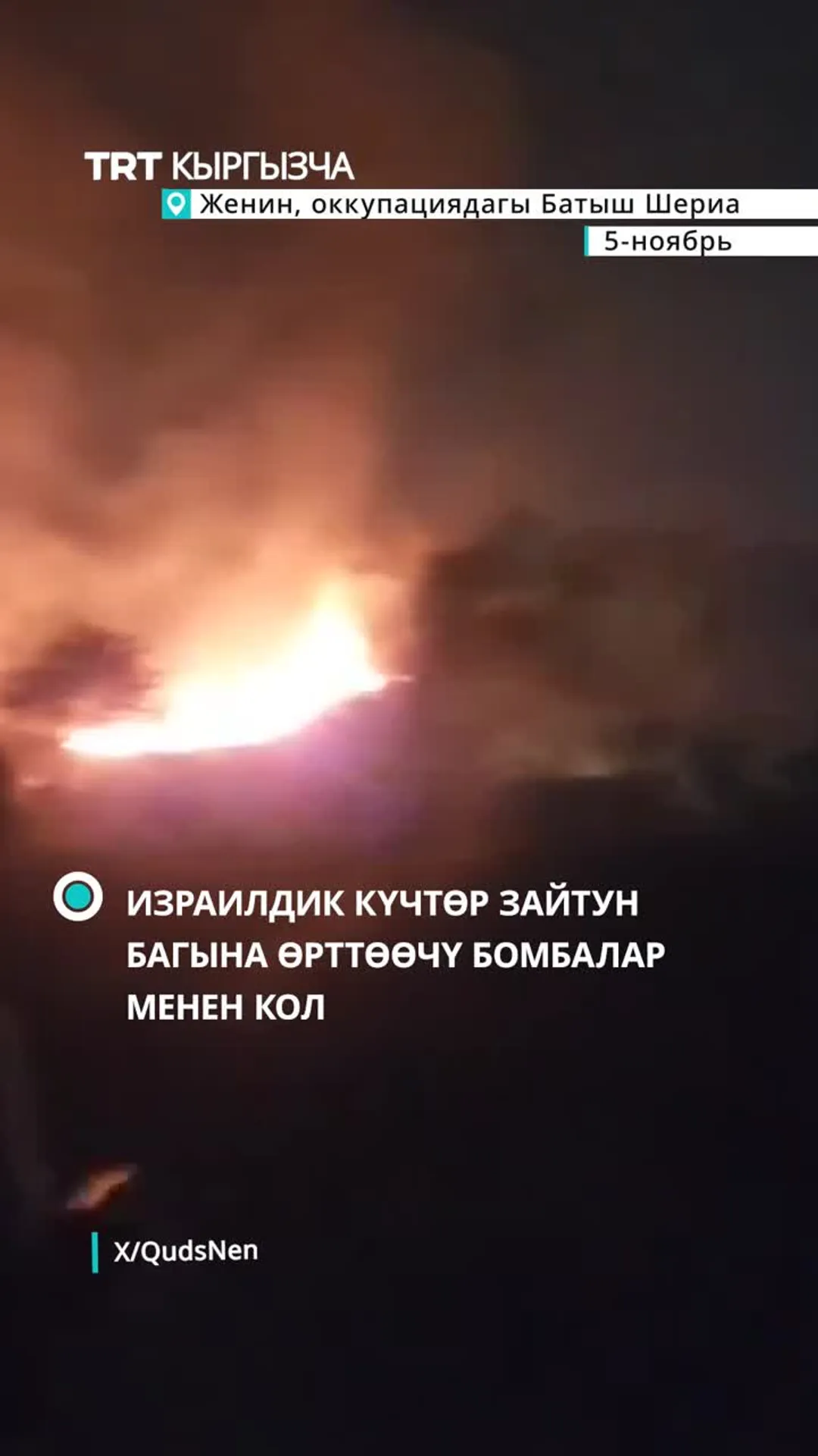 Израилдик күчтөр өрттөөчү бомбалар менен кол салгандан кийин Жениндеги зайтун багын чоң өрт каптады