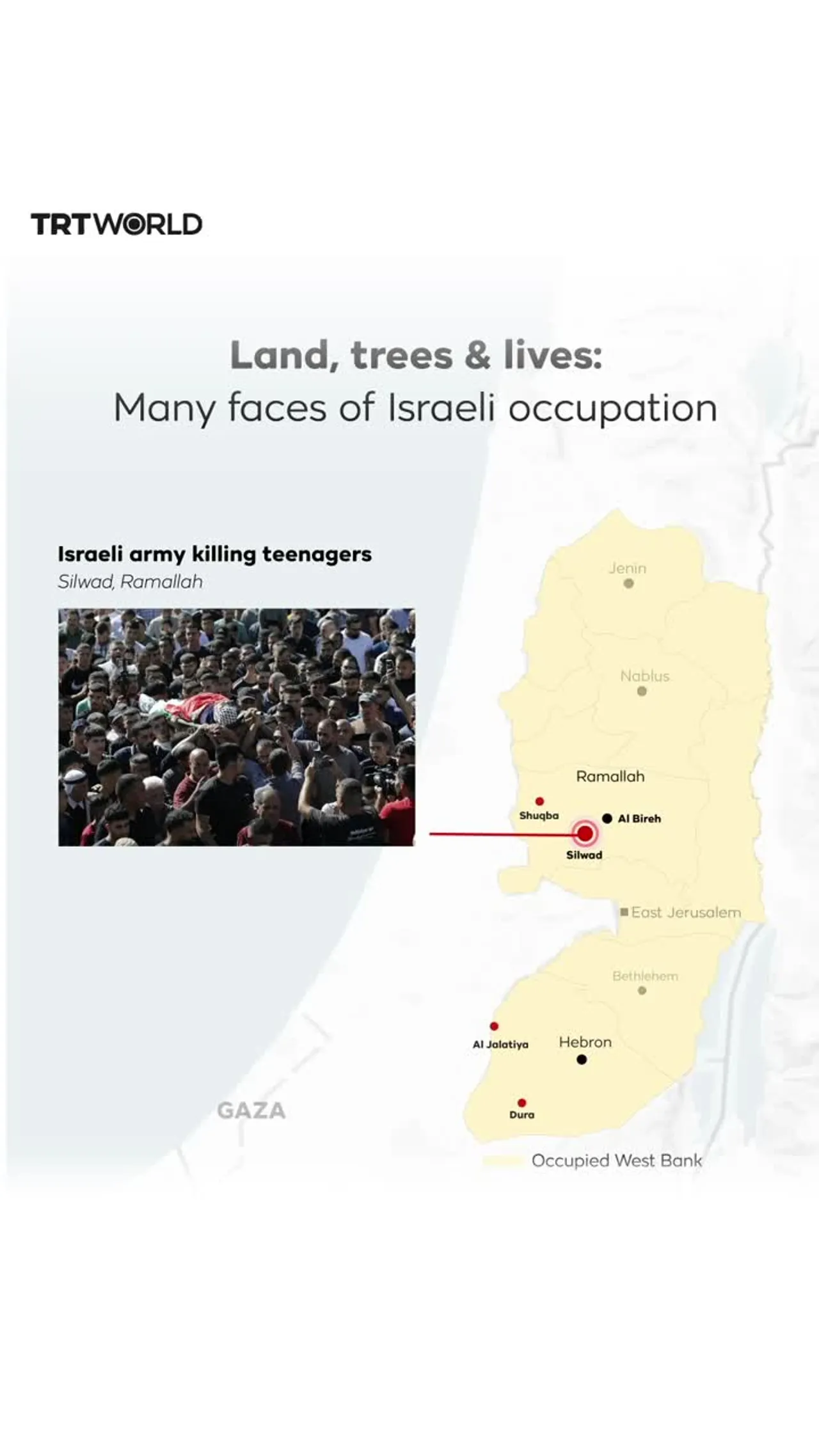 Land, trees & lives: Many faces of Israeli occupation