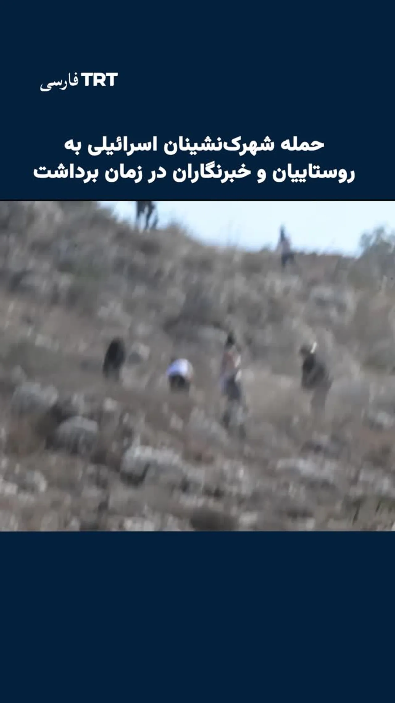 شهرکنشینان غیرقانونی اسرائیلی به روستاییان، فعالان و خبرنگاران در زمان برداشت زیتون حمله کردند