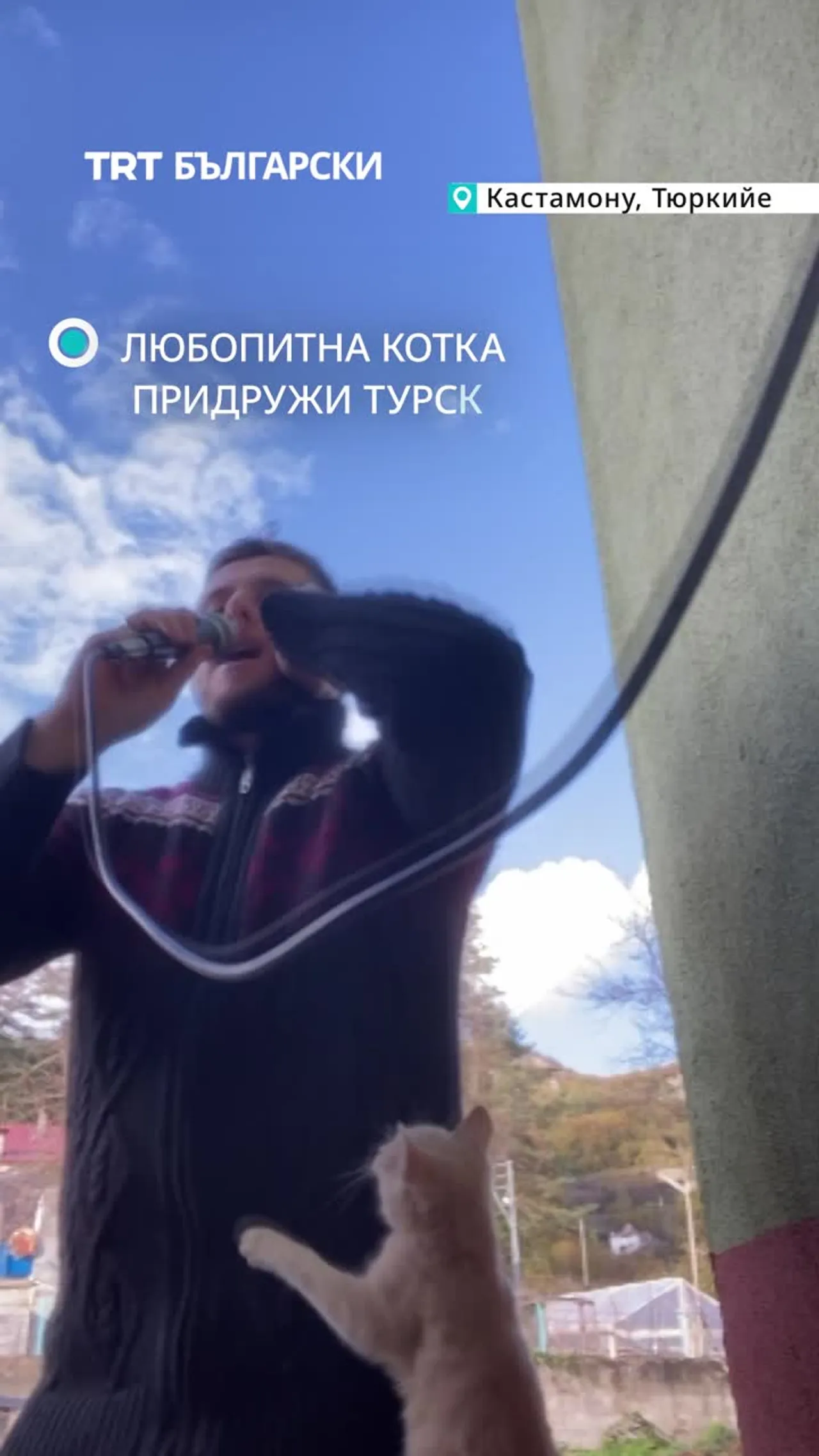 Турският имам Фуркан Абай четеше езан, когато пухкав посетител неочаквано реши да му прави компания