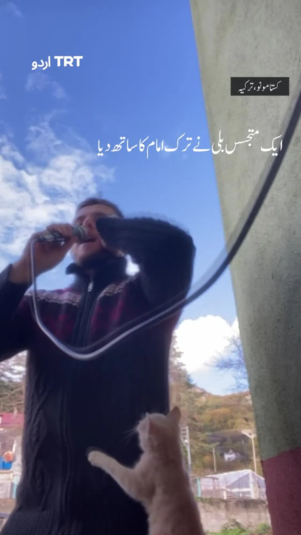 اذان کے دوران ایک متجسس بلی ترک امام کے پاس کھڑی رہی