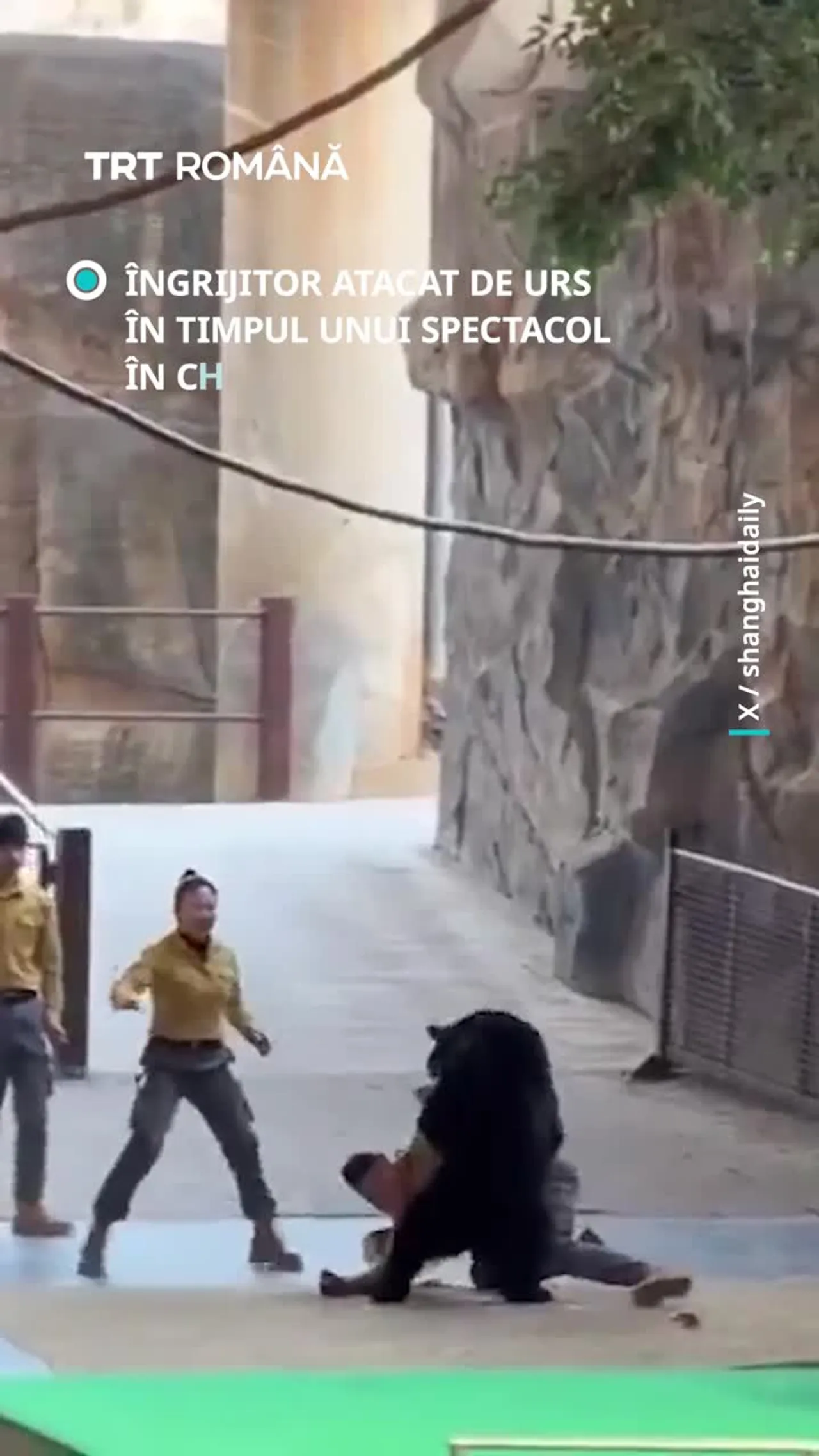 Îngrijitorul atacat de urs în timpul unui spectacol în China