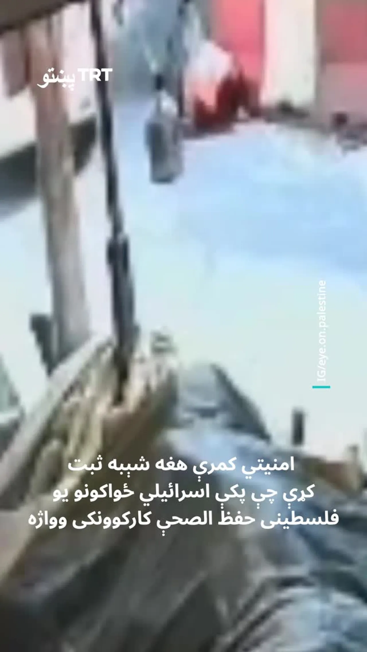 اسرائیلي سرتیرو دوه تنه فلسطیني روغتیا پالان په بې رحمۍ ووژل