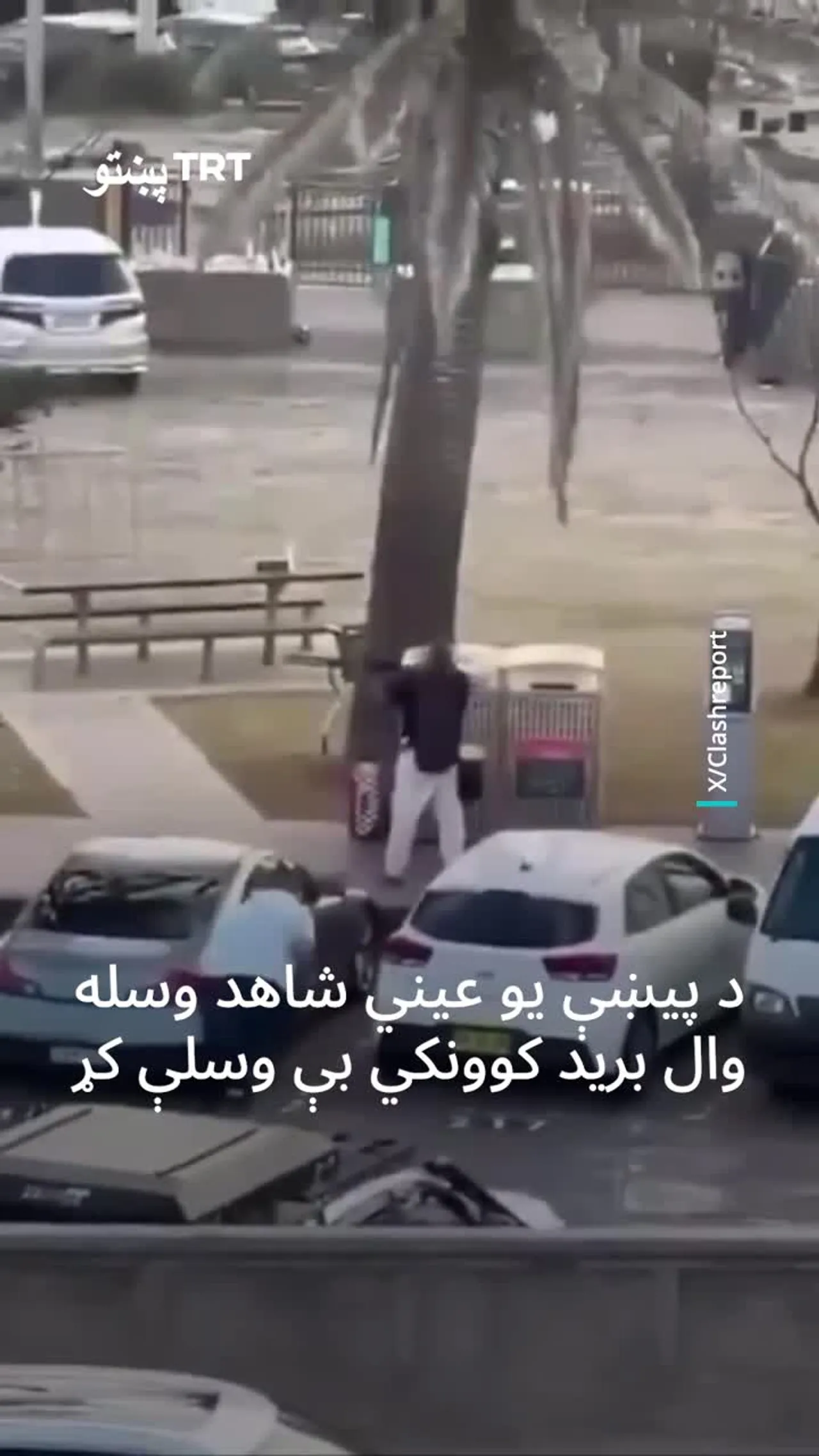 په سیډني کې یو دوکاندار د خونړیز برید پر مهال بریدګر خلع سلاح کړ