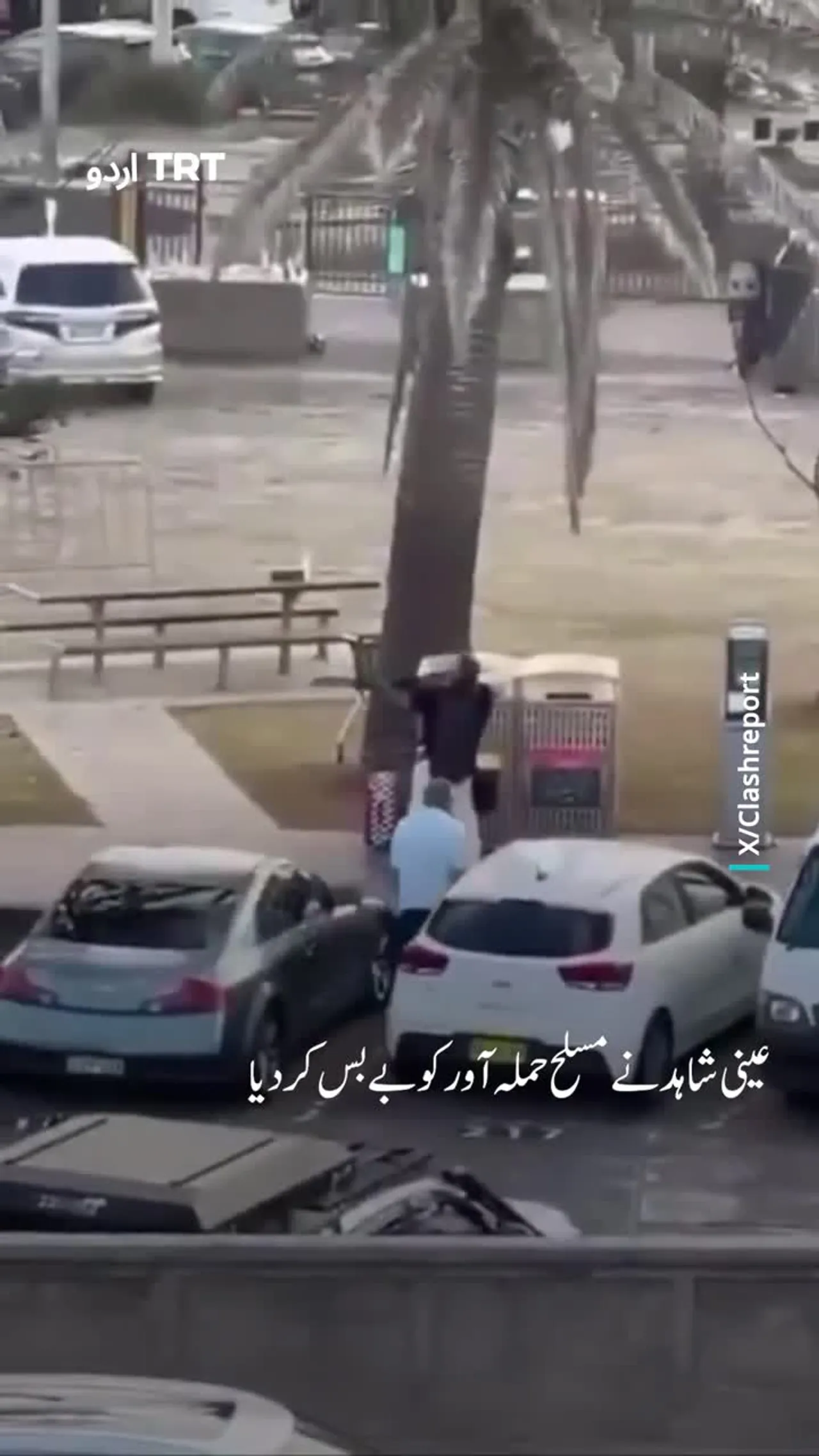 سڈنی حملہ: عینی شاہد نے مسلح حملہ آور کو بے بس کر دیا