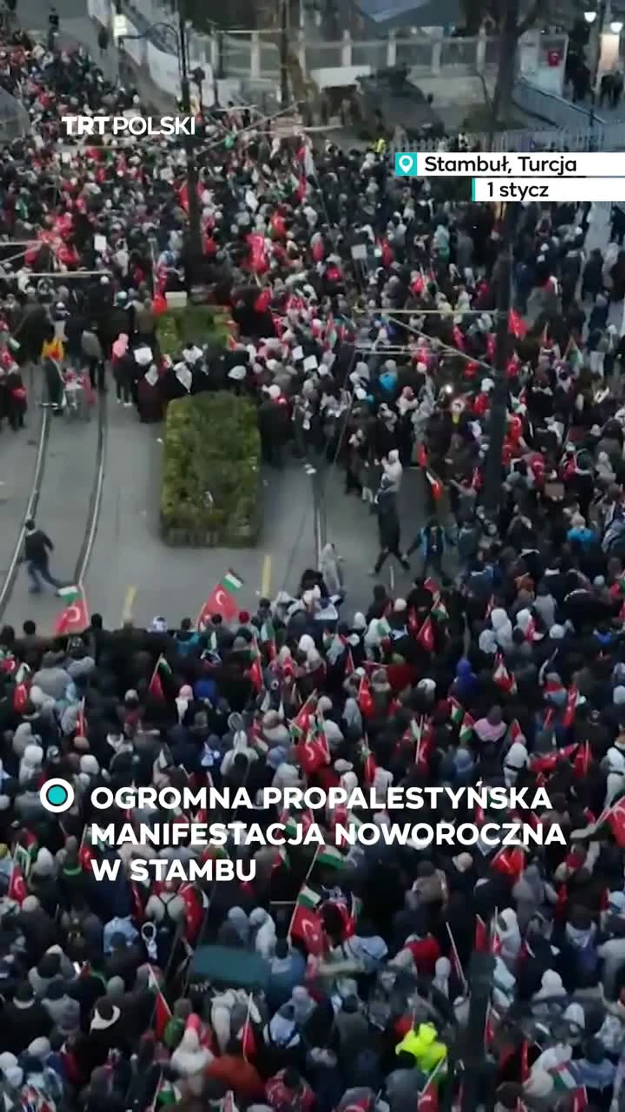 Ogromna propalestyńska manifestacja noworoczna w Stambule