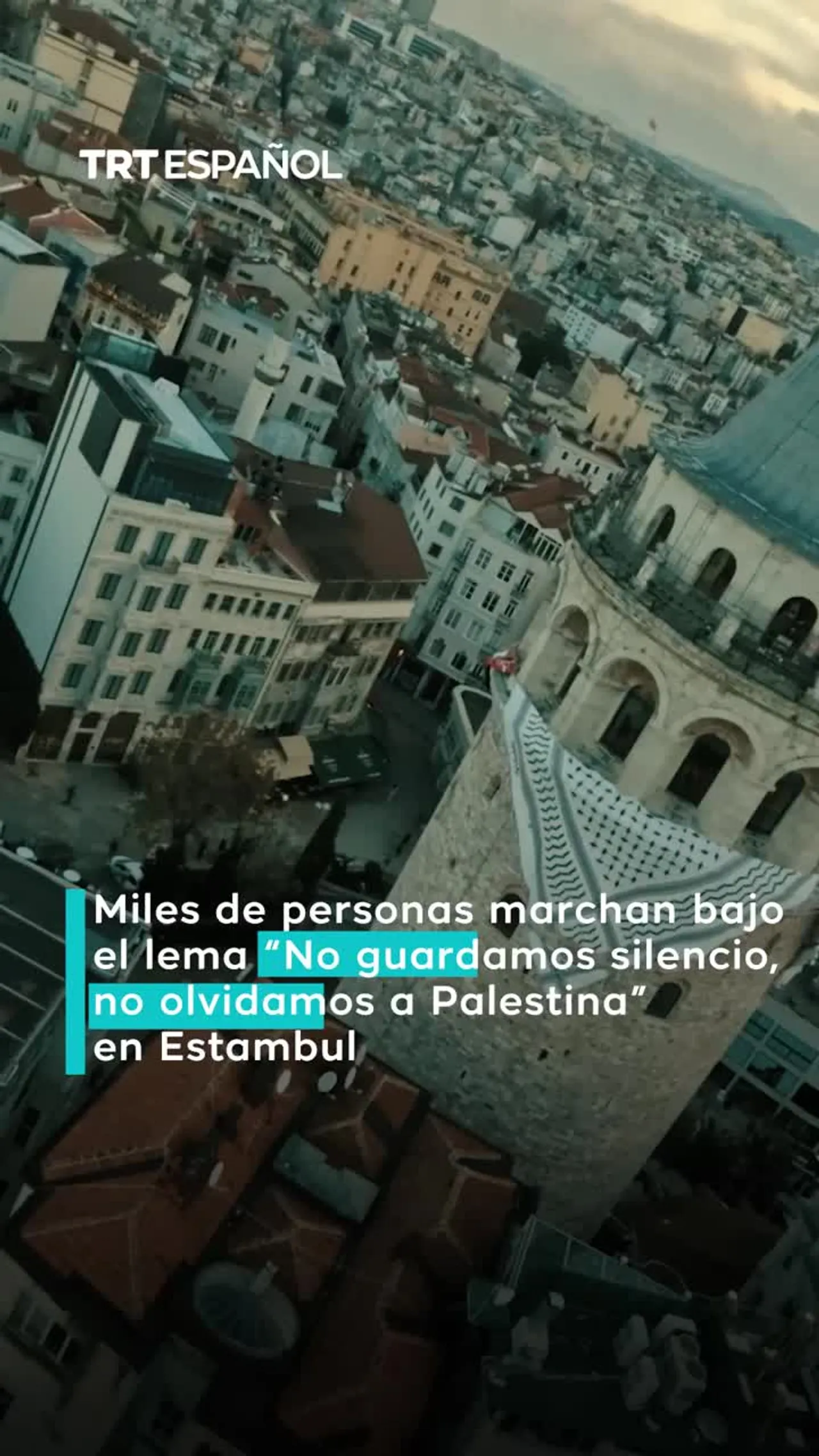 Masiva protesta por Gaza en Estambul en Año Nuevo