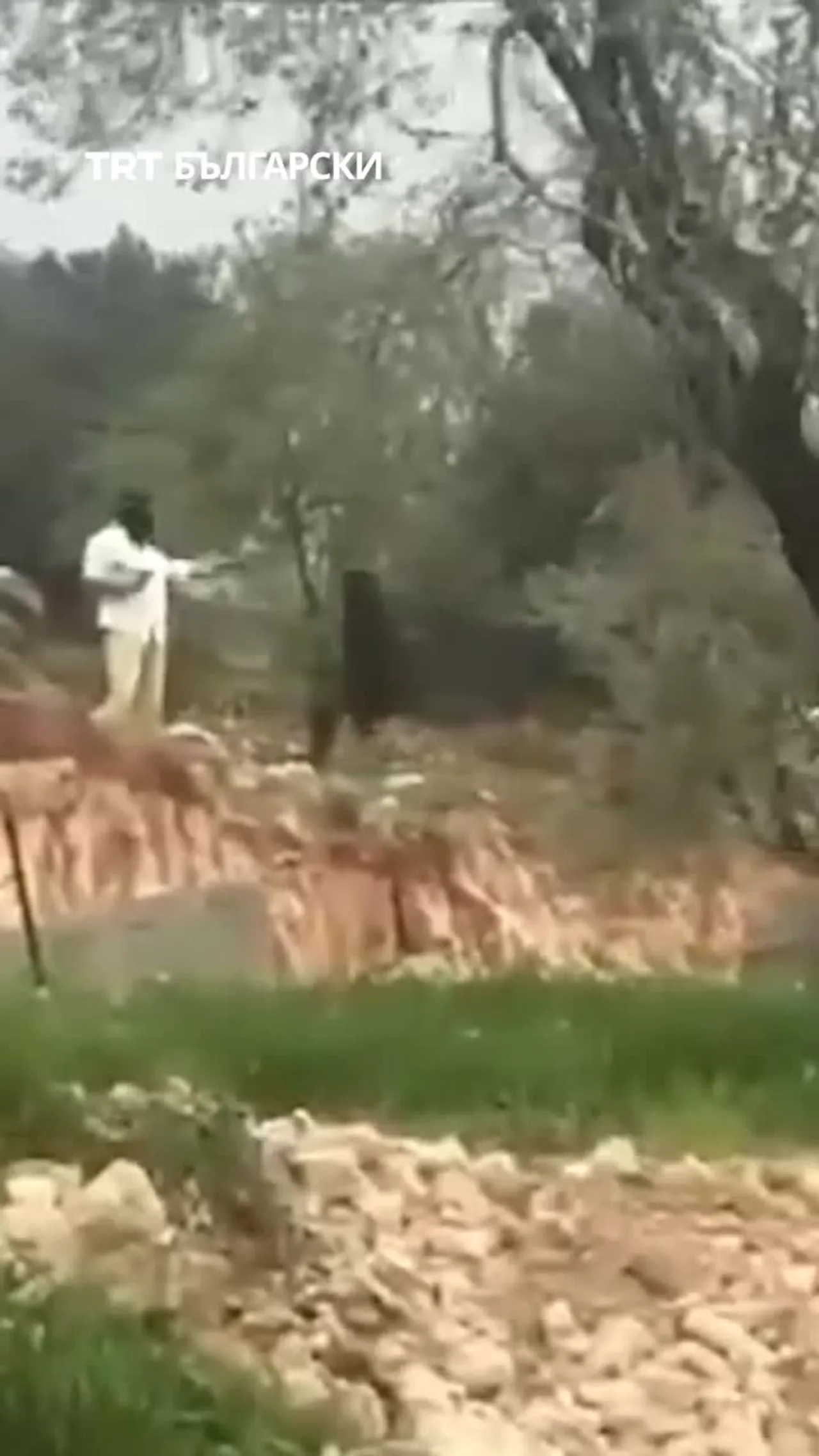 МАСКИРАНИ ИЗРАЕЛСКИ ЗАСЕЛНИЦИ УБИХА ПАЛЕСТИНЕЦ НА ОКУПИРАНИЯ ЗАПАДЕН БРЯГ